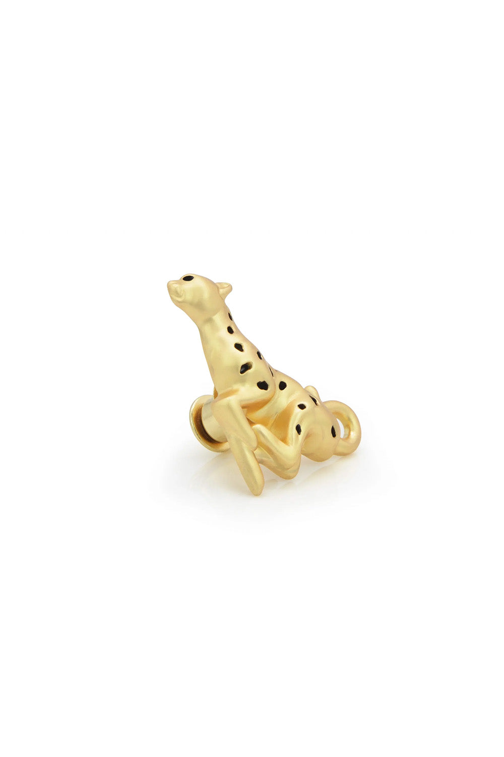 Leopar & Tropikal Yaprak Broş Seti - 2