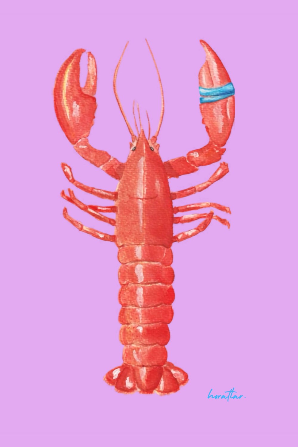 Hazal Türer - Lobster 3' Lü Set - 2