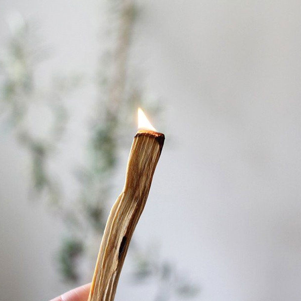 Natural Palo Santo Tütsü Ağacı 6 Lı Set