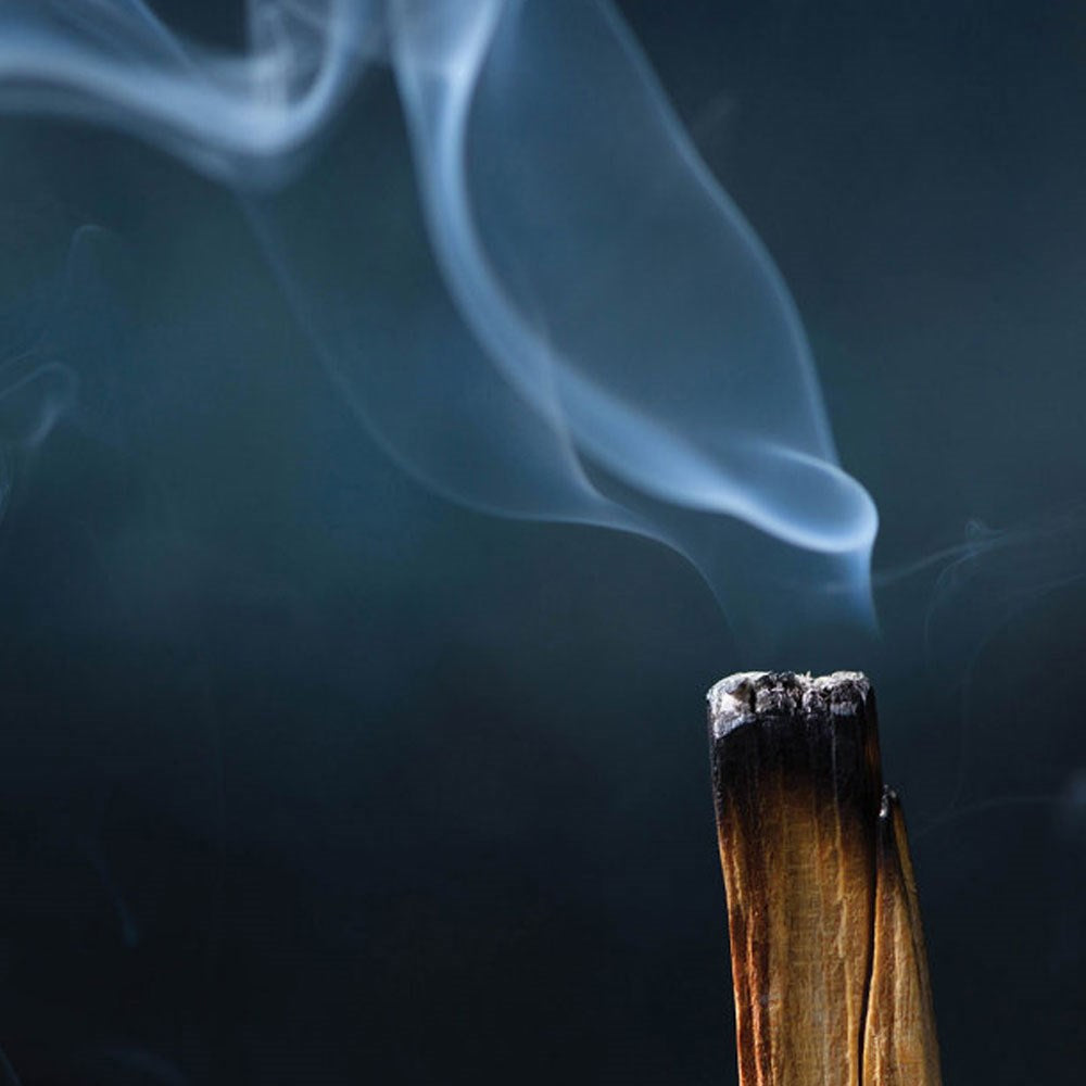 Natural Palo Santo Tütsü Ağacı 6 Lı Set