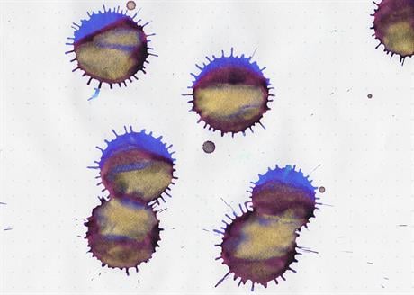 Diamine-Diamine Ink Shimmering Mürekkep Cobalt Jazz 2018-Mürekkep-5-roqelvaxirum.shop