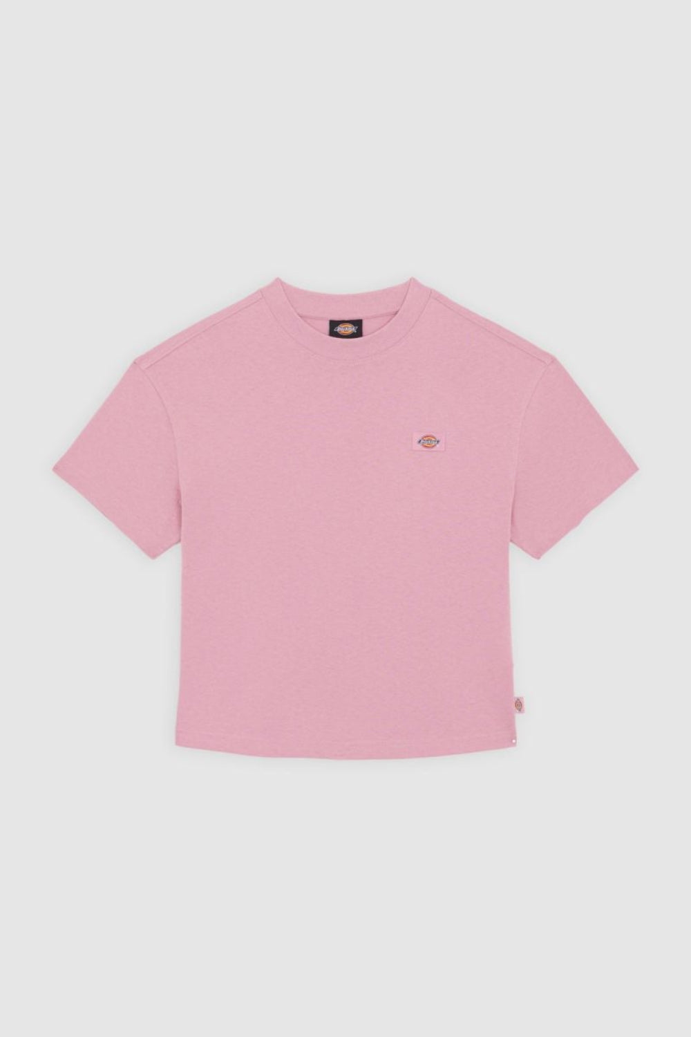 Dickies-Oakport Boxy Ss Tee Lilac-T-Shirts-6-roqelvaxirum.shop
