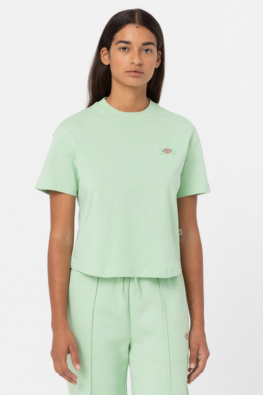 Dickies-Oakport Quiet Green-T-Shirts-1-roqelvaxirum.shop