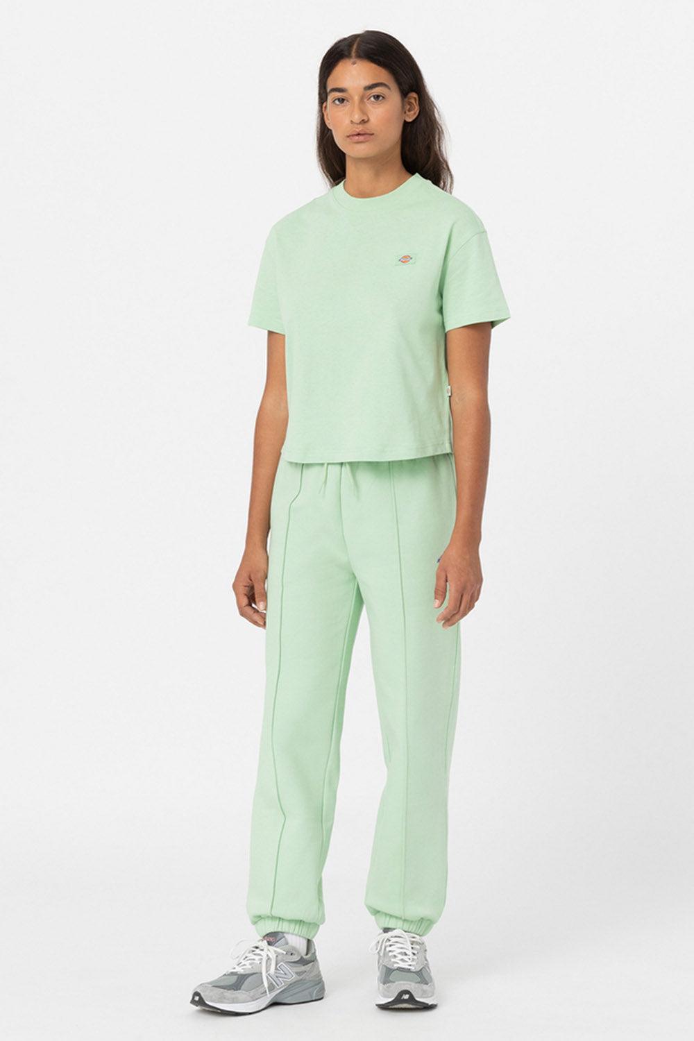 Dickies-Oakport Quiet Green-T-Shirts-3-roqelvaxirum.shop