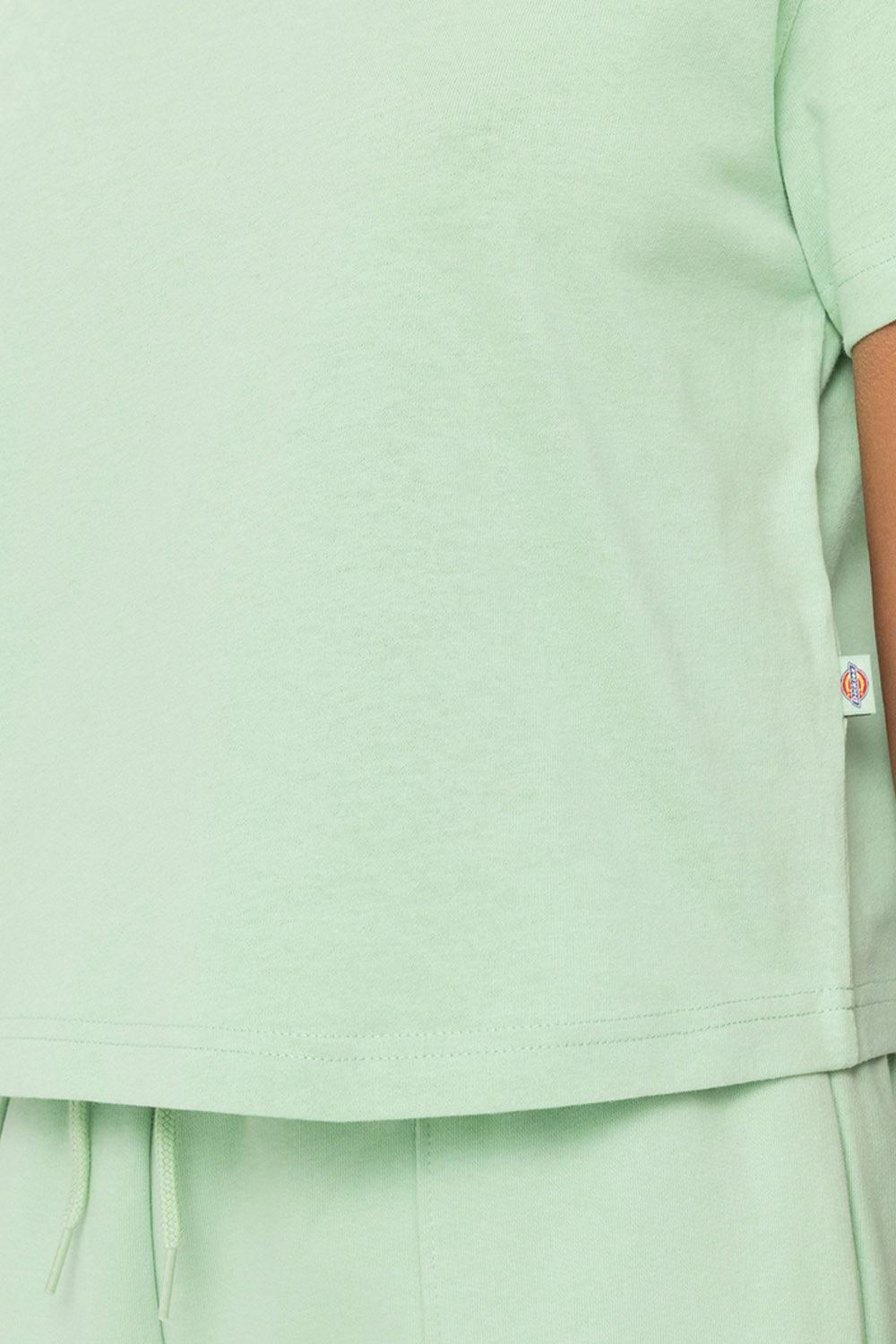 Dickies-Oakport Quiet Green-T-Shirts-5-roqelvaxirum.shop