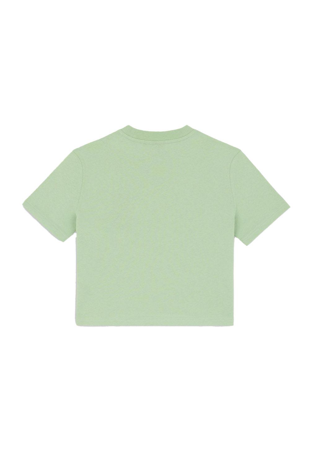 Dickies-Oakport Quiet Green-T-Shirts-6-roqelvaxirum.shop