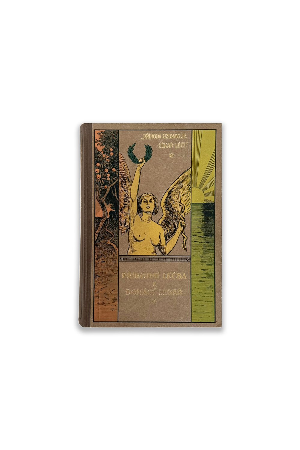 Fin All Design-Prirodni Lecba A Domaci Lekar 1 / Doğal Tedavi Ve Ev Doktoru-Kitap-1-roqelvaxirum.shop