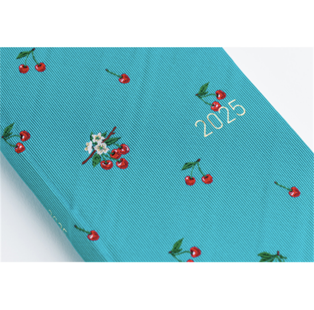 Hobonichi-Hobonichi Techo Weeks 2025 Mega Bow & Tie: Cherry-Çizgili-5-roqelvaxirum.shop