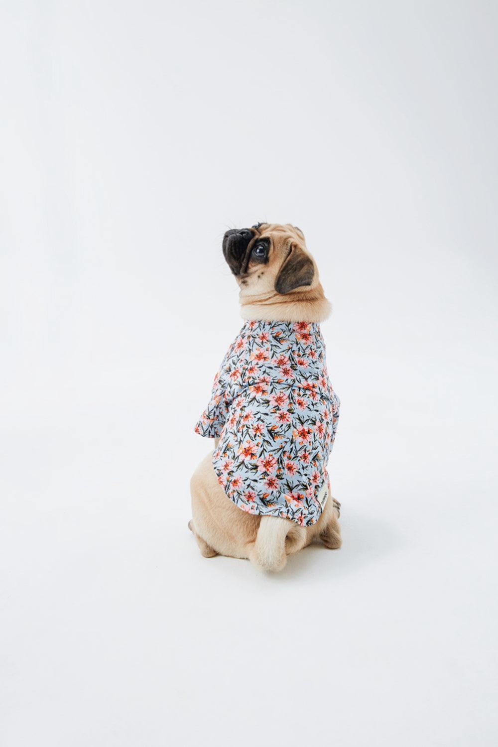Hypet Fashion-Blue Floral Gömlek-Köpek-5-roqelvaxirum.shop