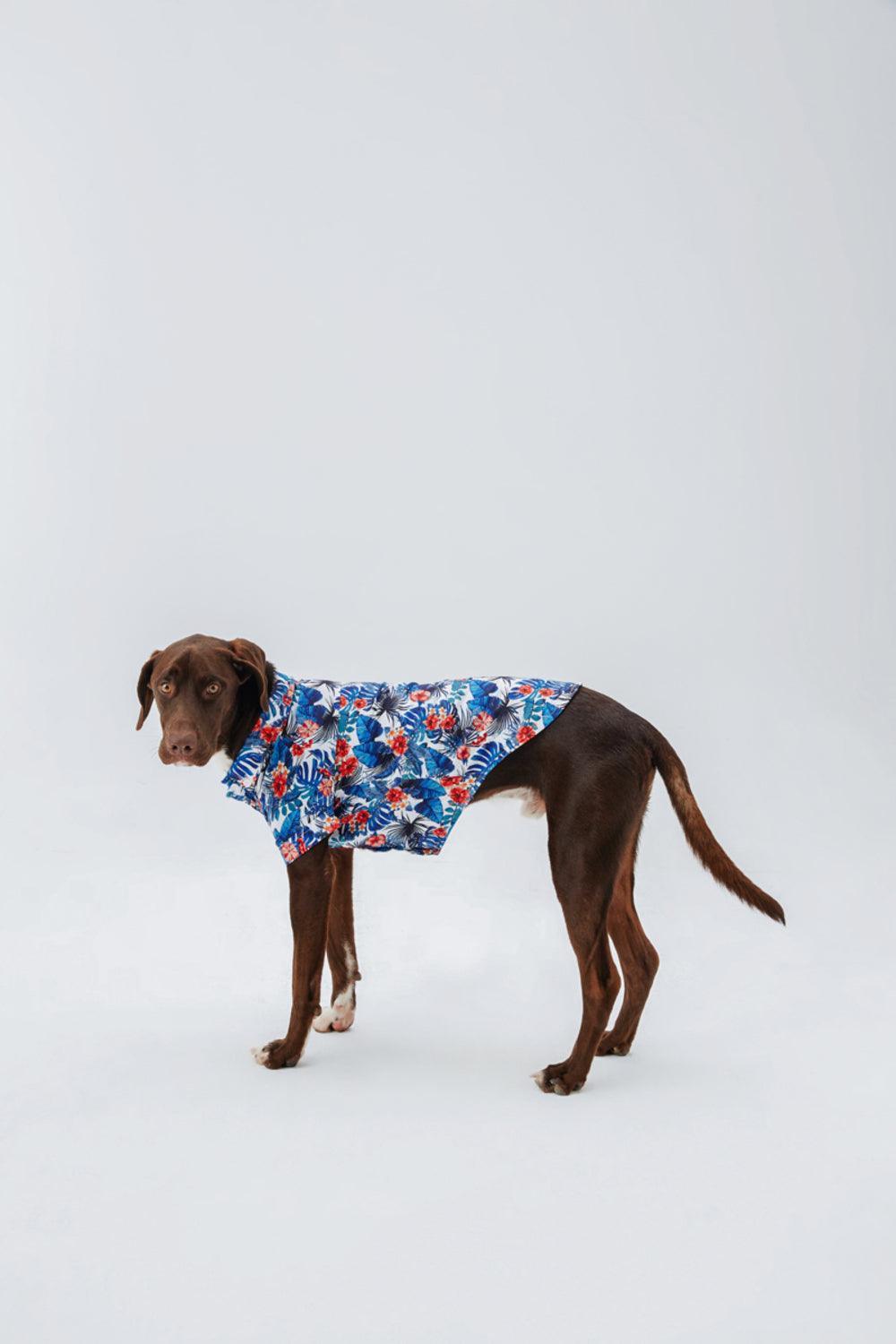 Hypet Fashion-Hawaii Gömlek-Köpek-3-roqelvaxirum.shop