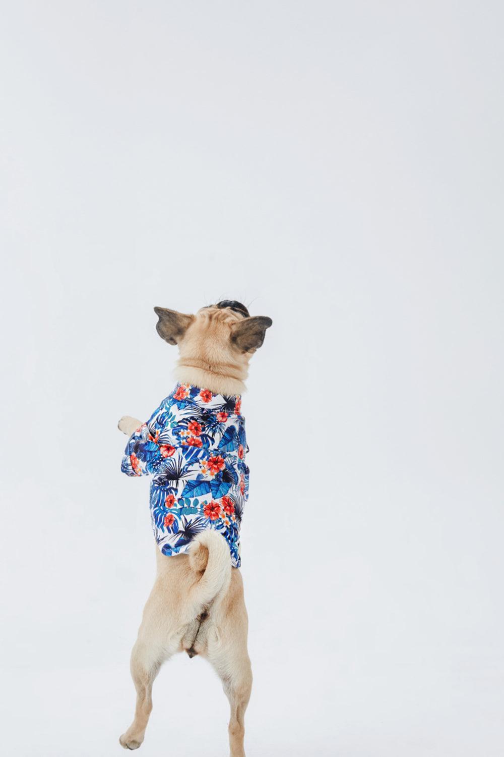 Hypet Fashion-Hawaii Gömlek-Köpek-6-roqelvaxirum.shop