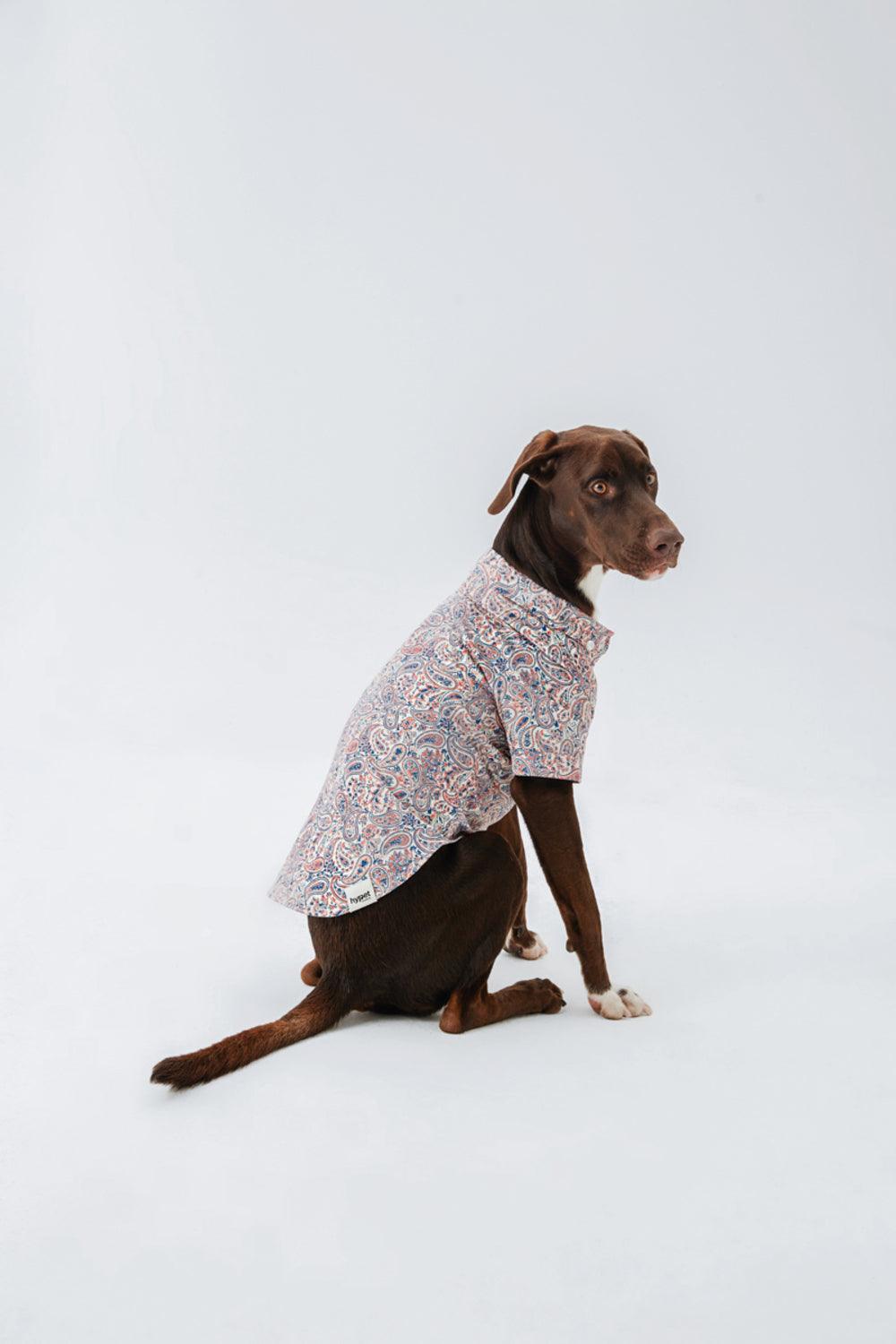 Hypet Fashion-Paisley Gömlek-Köpek-6-roqelvaxirum.shop