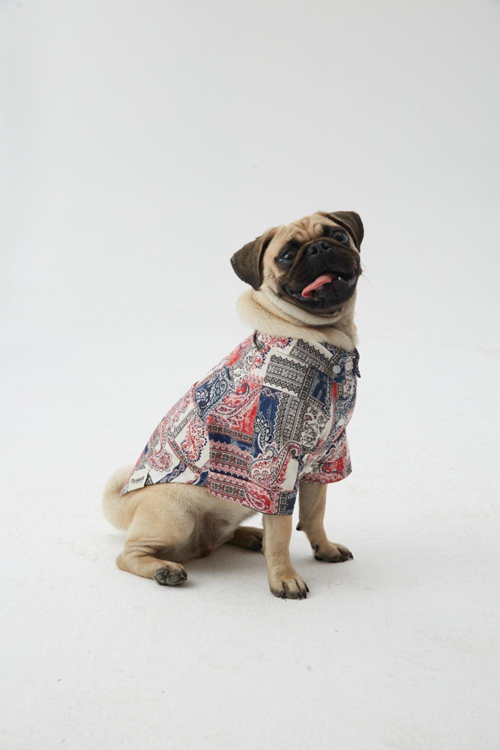 Hypet Fashion-Patchwork Gömlek-Köpek-3-roqelvaxirum.shop