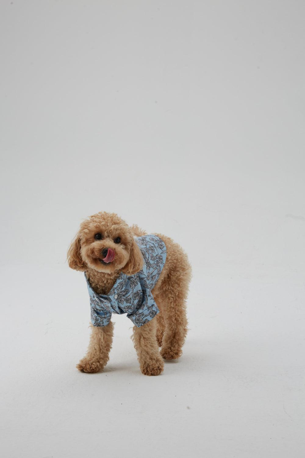 Hypet Fashion-Tulip Gömlek-Köpek-3-roqelvaxirum.shop