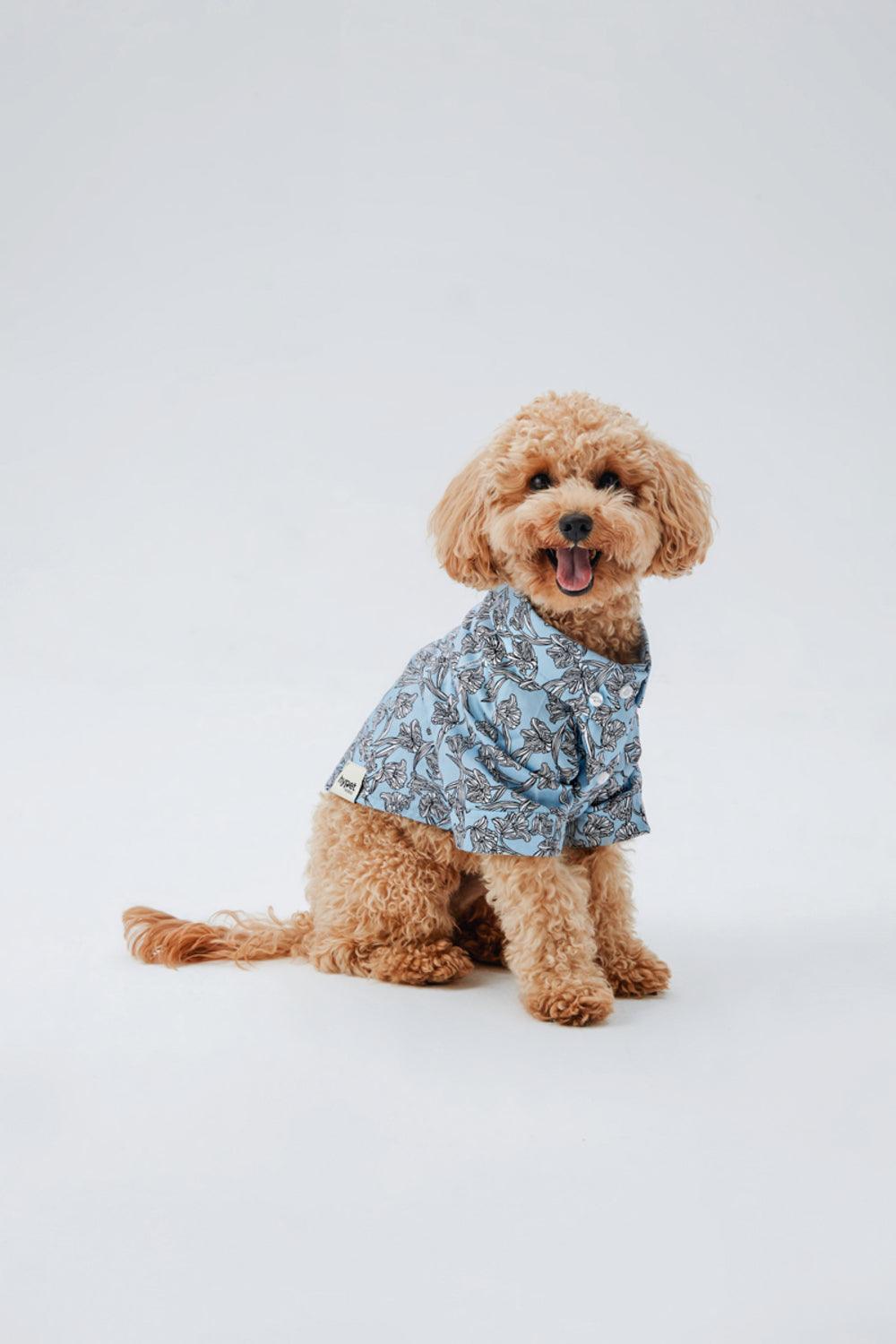 Hypet Fashion-Tulip Gömlek-Köpek-6-roqelvaxirum.shop