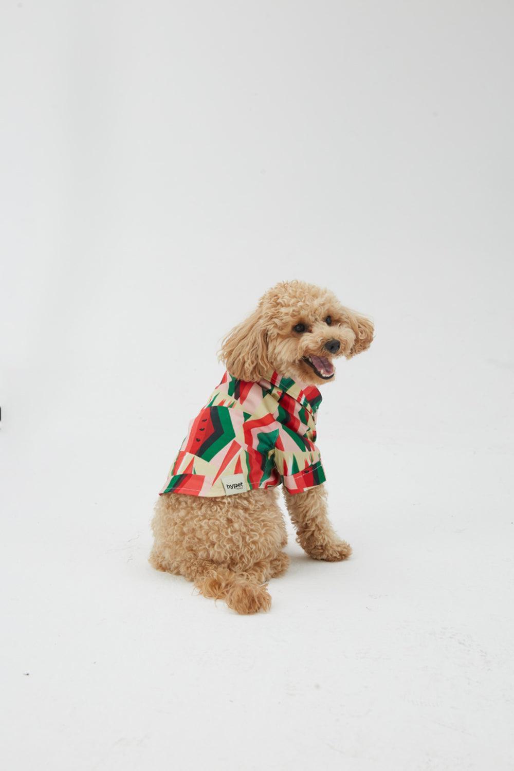 Hypet Fashion-Watermelon Gömlek-Köpek-5-roqelvaxirum.shop