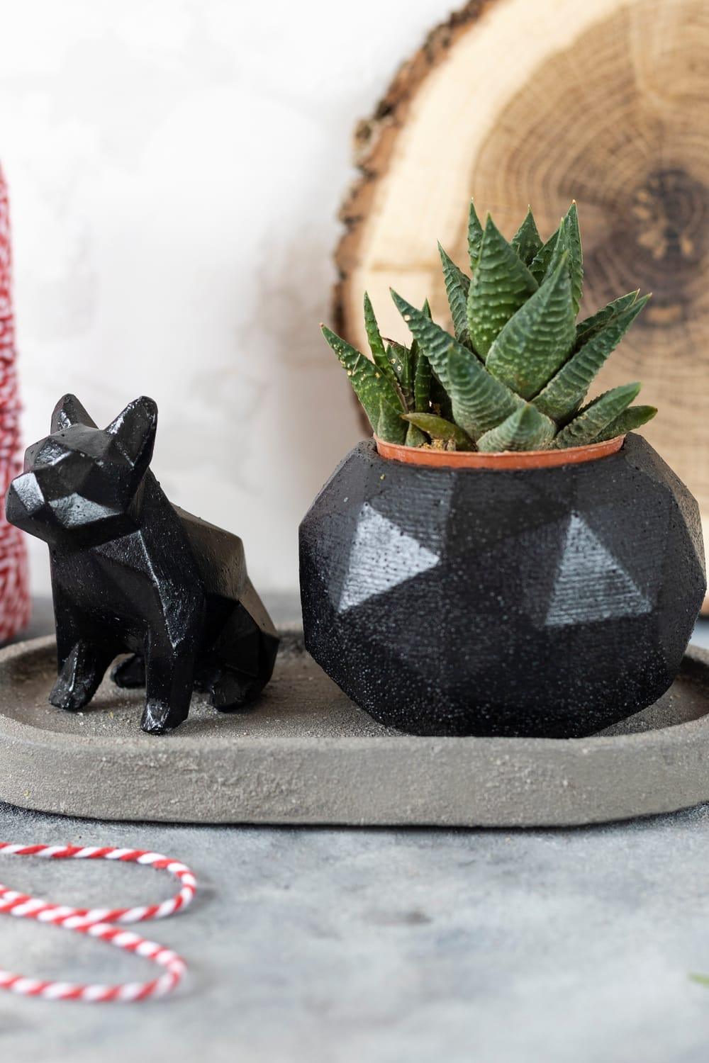 Jomo Tasarım-Beton Köpek Saksı Seti-Biblo-1-roqelvaxirum.shop