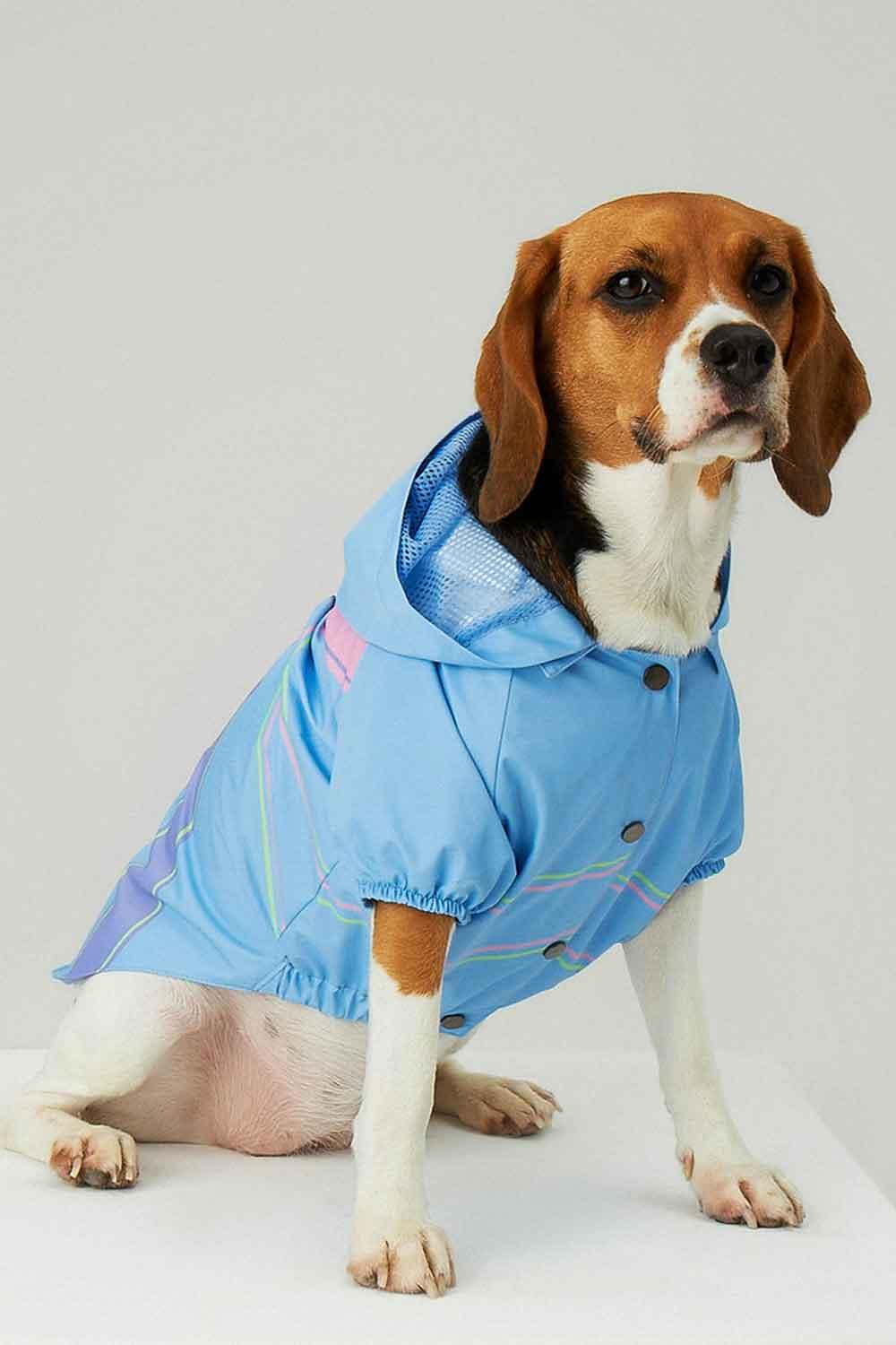 Little Monsters-Blue Single Cloud Yağmurluk-Köpek-4-roqelvaxirum.shop