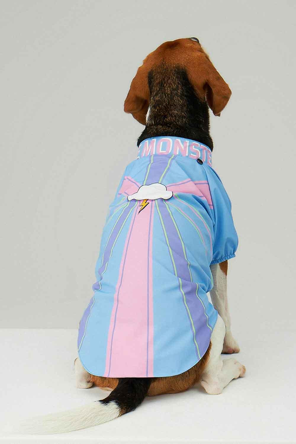 Little Monsters-Blue Single Cloud Yağmurluk-Köpek-5-roqelvaxirum.shop