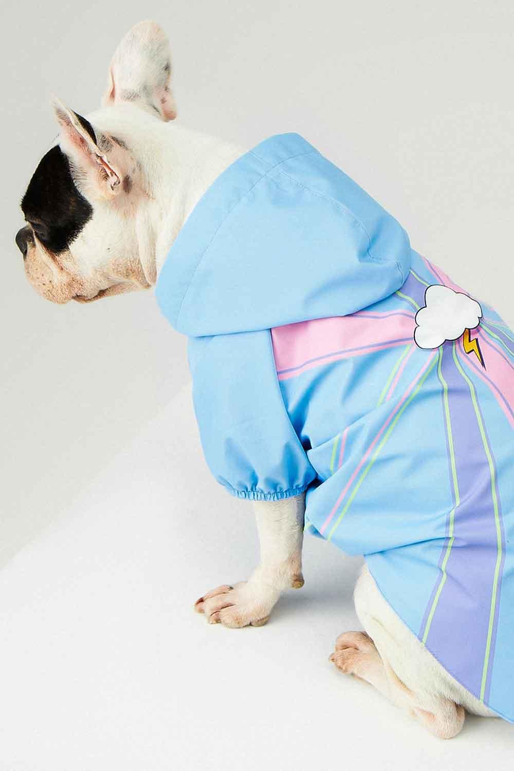 Little Monsters-Blue Single Cloud Yağmurluk-Köpek-8-roqelvaxirum.shop