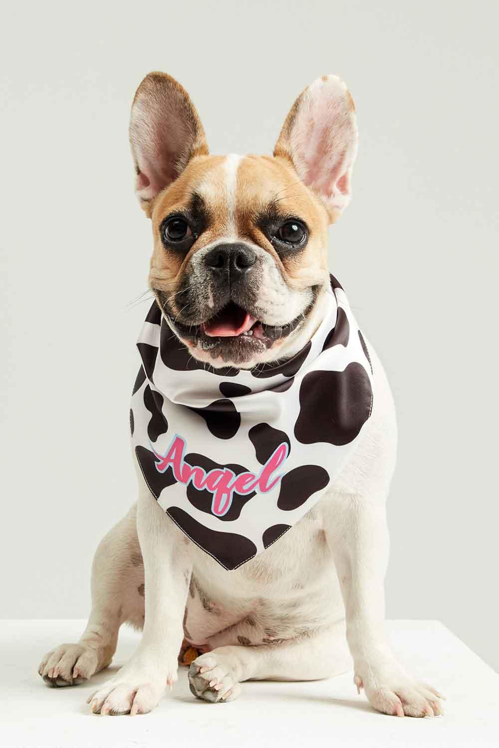 Little Monsters-Cow Print Angel Bandana-Köpek-1-roqelvaxirum.shop