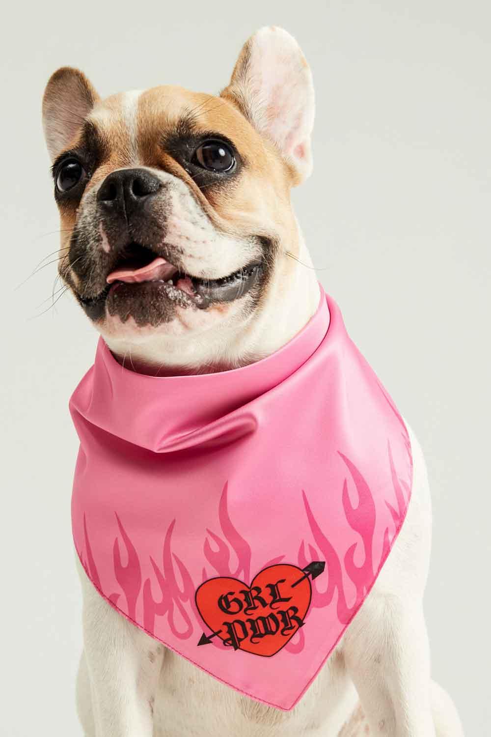 Little Monsters-GRL PWR Bandana-Köpek-1-roqelvaxirum.shop