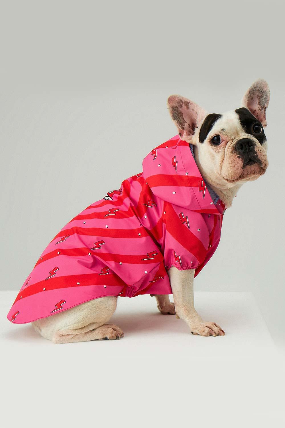 Little Monsters-Heart On Fire Yağmurluk-Köpek-5-roqelvaxirum.shop