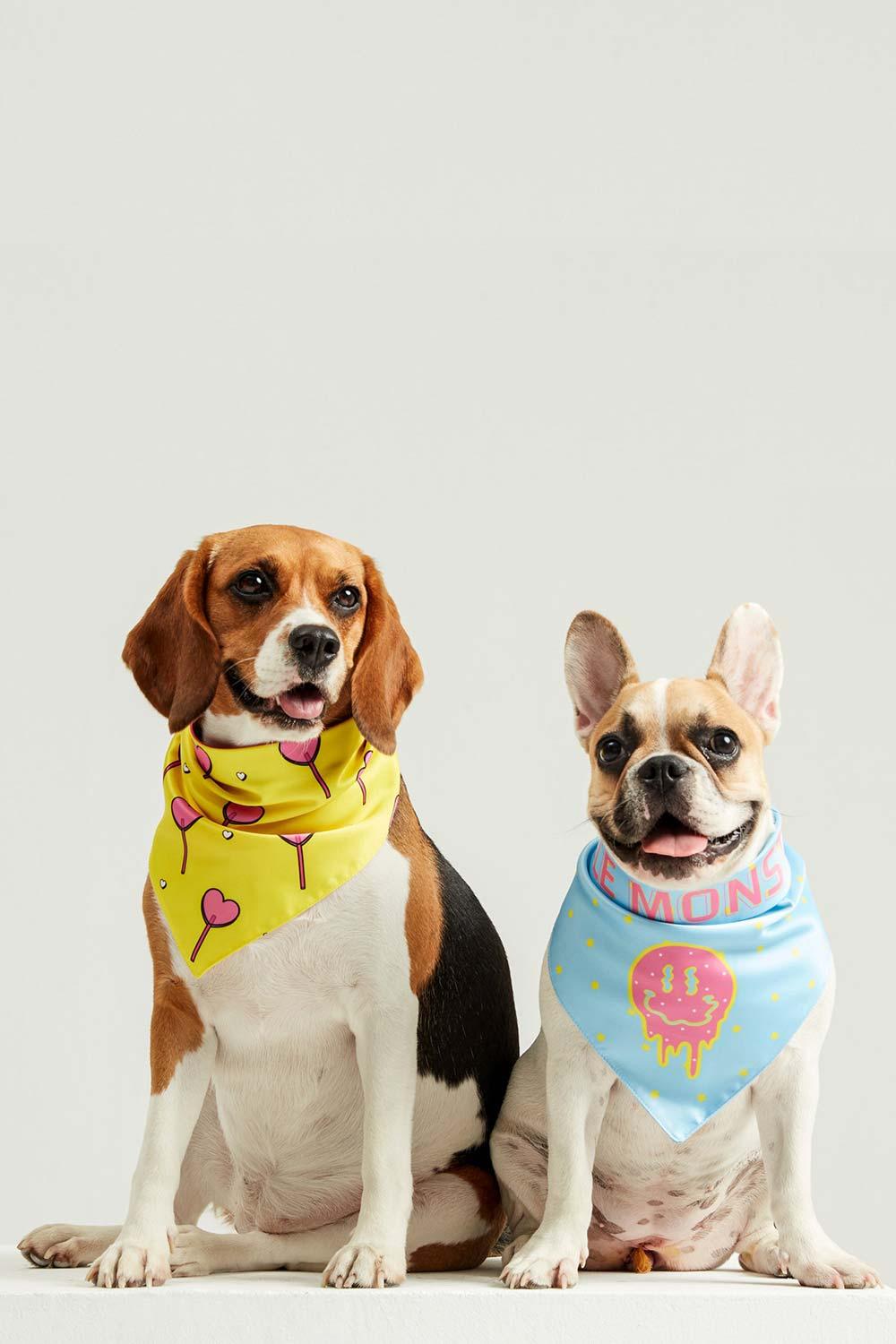 Little Monsters-Hearts Candy Bandana-Köpek-4-roqelvaxirum.shop