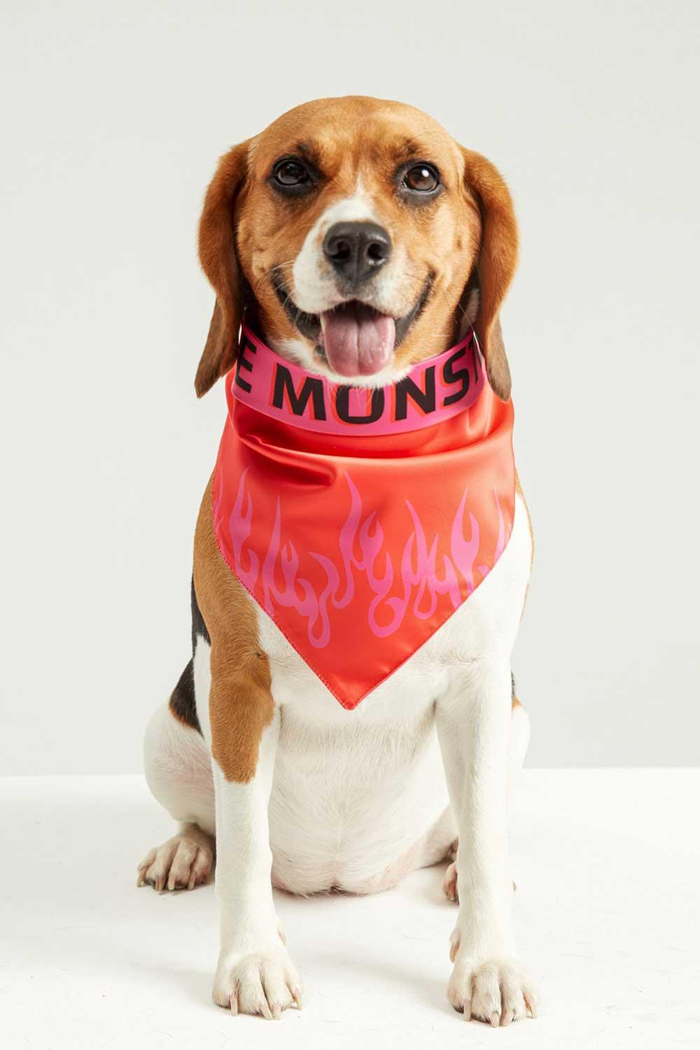 Little Monsters-LM Fire Bandana-Köpek-2-roqelvaxirum.shop