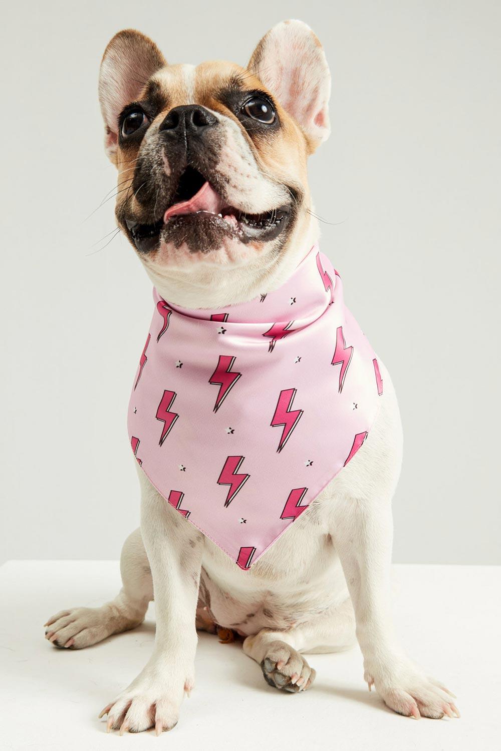 Little Monsters-Pink Flash Bandana-Köpek-1-roqelvaxirum.shop