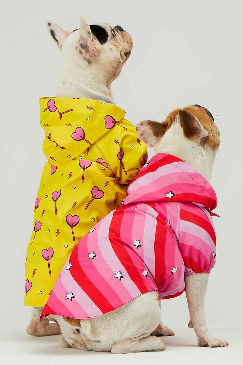 Little Monsters-Pink Swirl Yağmurluk-Köpek-3-roqelvaxirum.shop