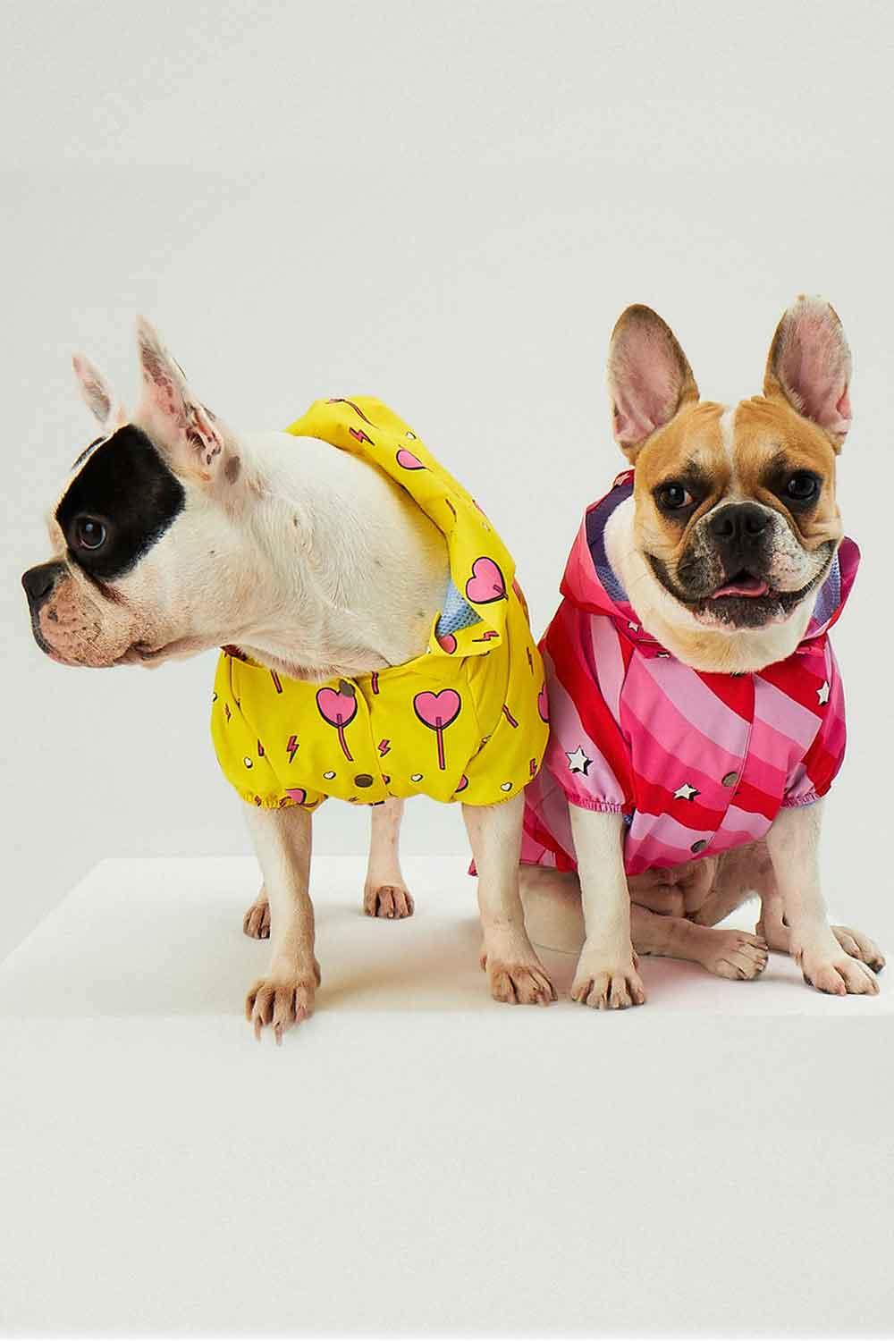 Little Monsters-Pink Swirl Yağmurluk-Köpek-4-roqelvaxirum.shop