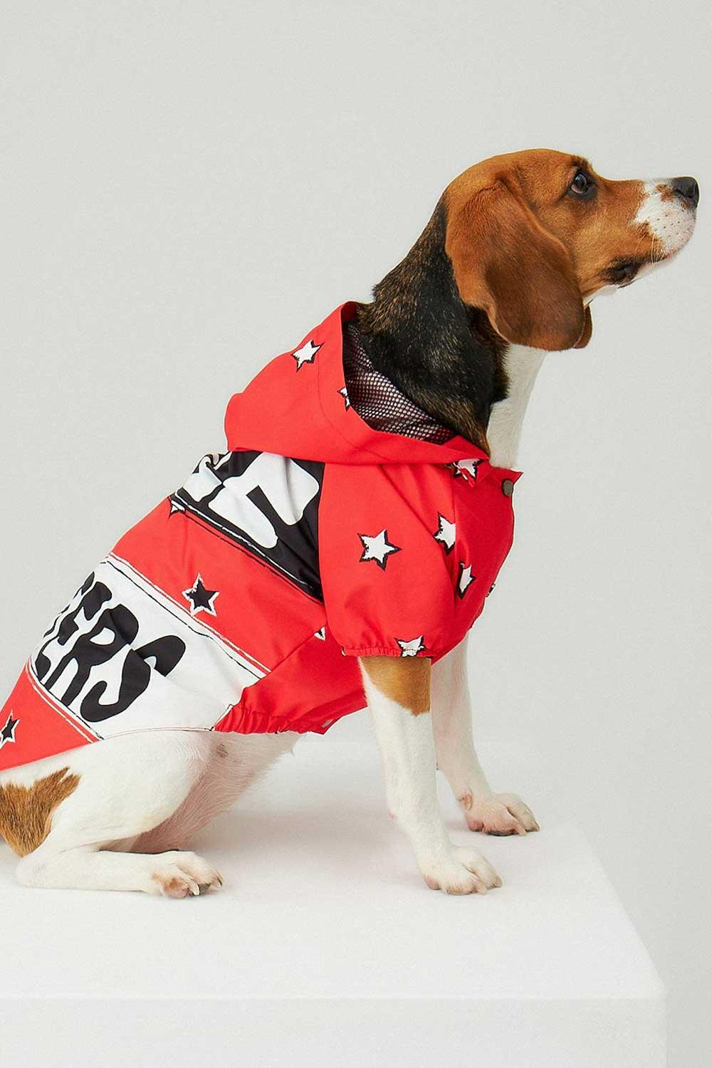 Little Monsters-Red LM Yağmurluk-Köpek-3-roqelvaxirum.shop