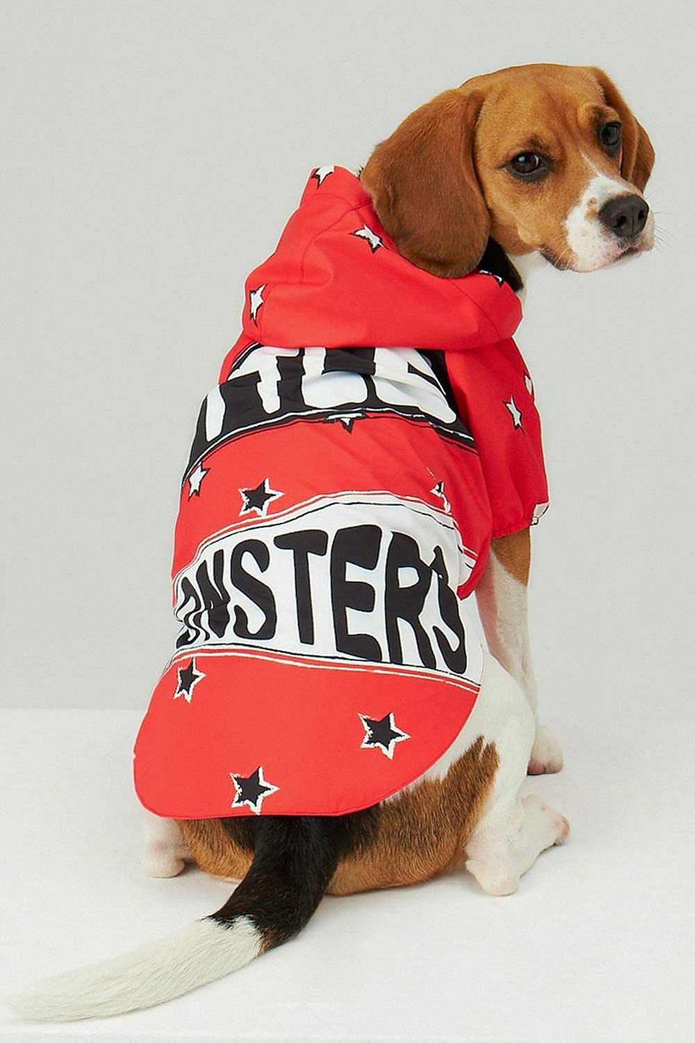 Little Monsters-Red LM Yağmurluk-Köpek-4-roqelvaxirum.shop
