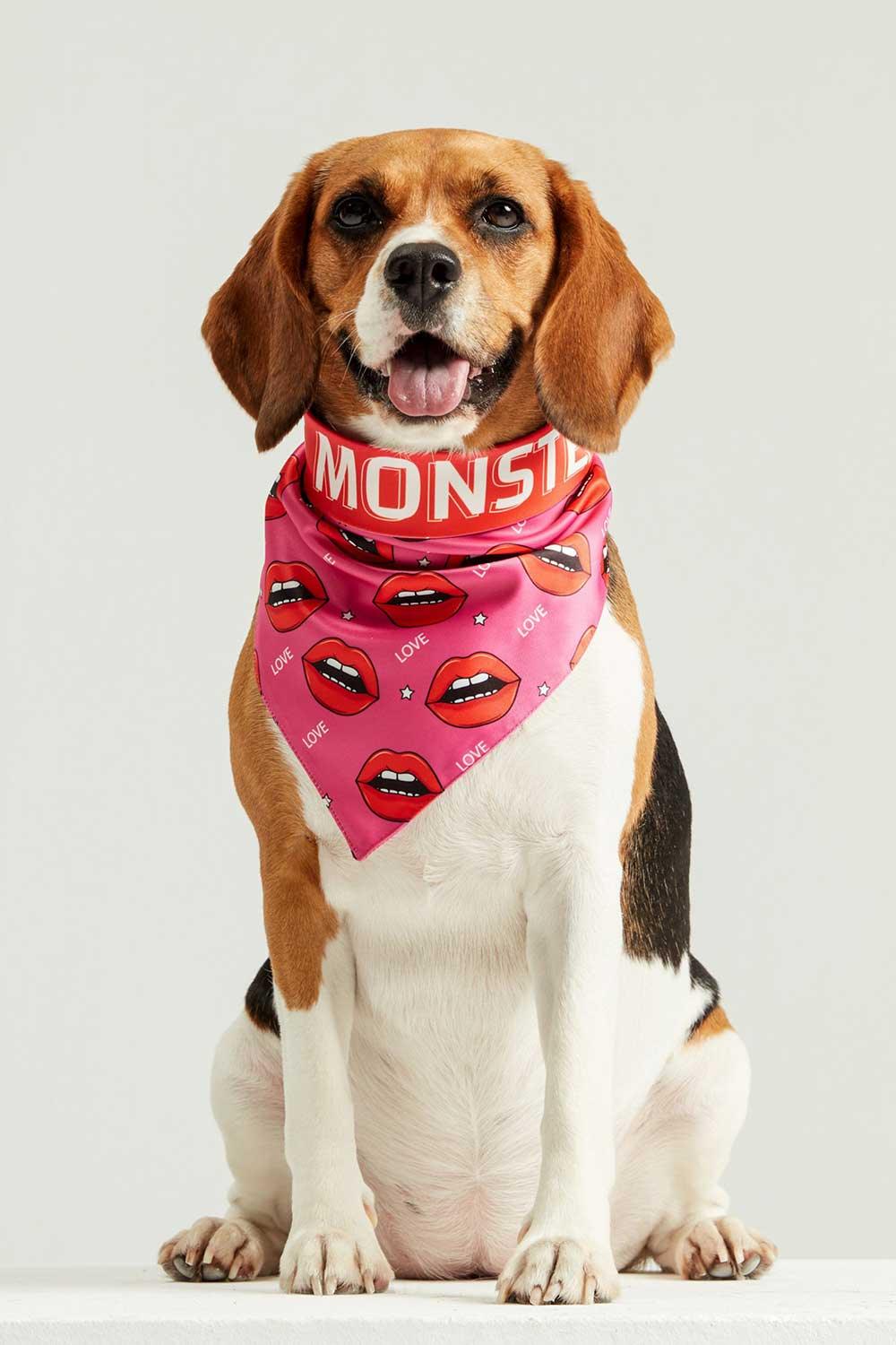Little Monsters-Savage Love Bandana-Köpek-4-roqelvaxirum.shop