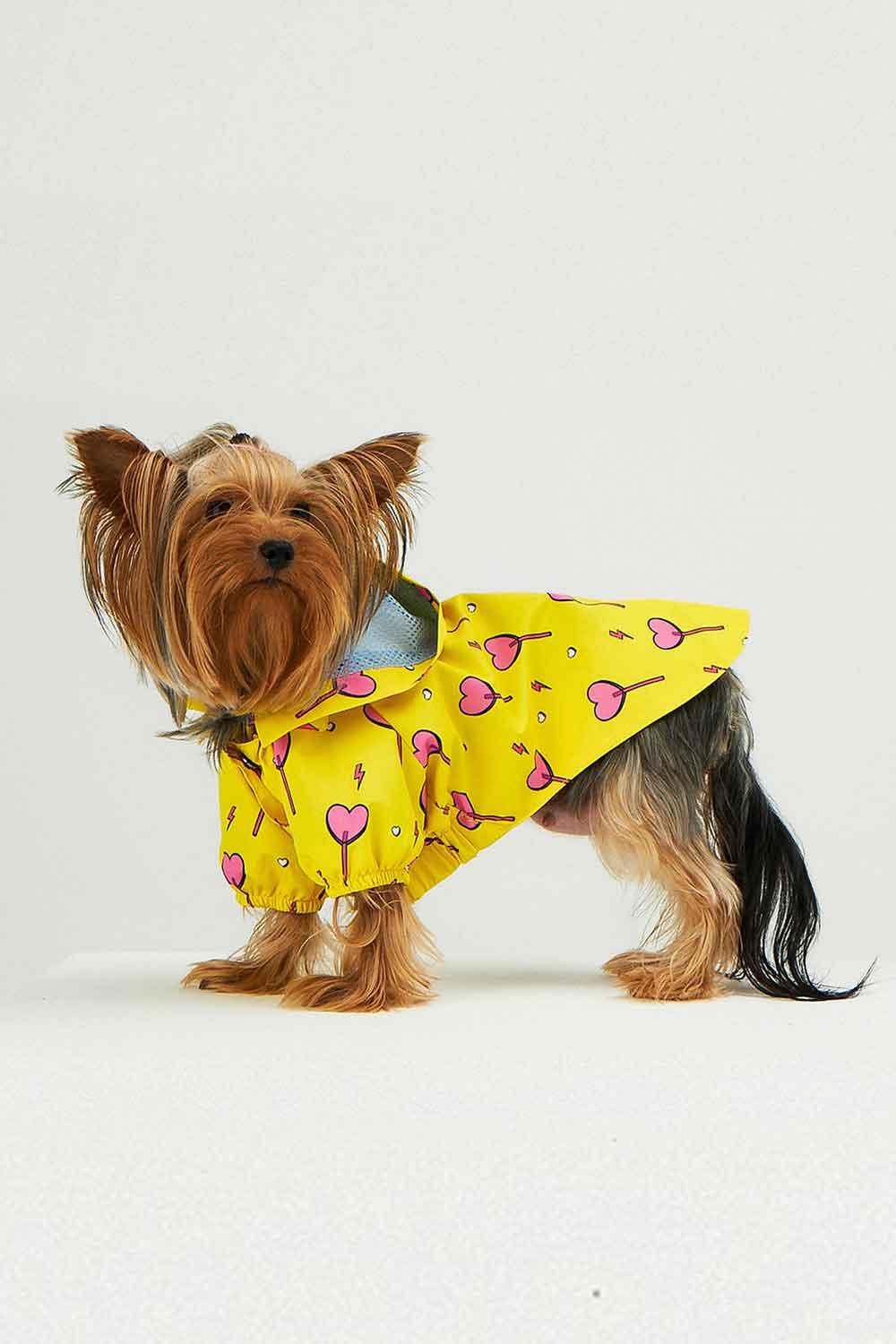 Little Monsters-Yellow Heart Candy Yağmurluk-Köpek-2-roqelvaxirum.shop
