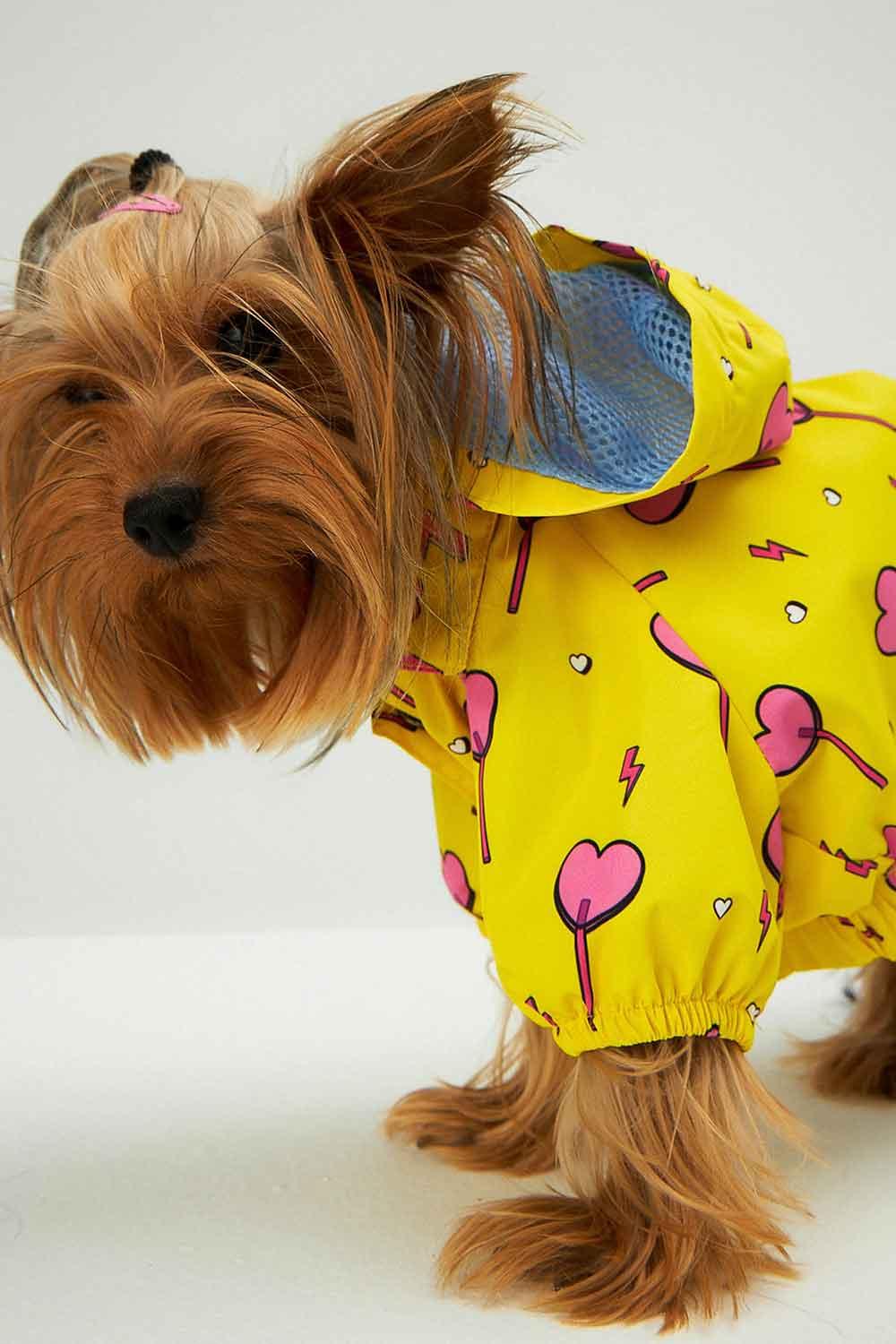 Little Monsters-Yellow Heart Candy Yağmurluk-Köpek-4-roqelvaxirum.shop