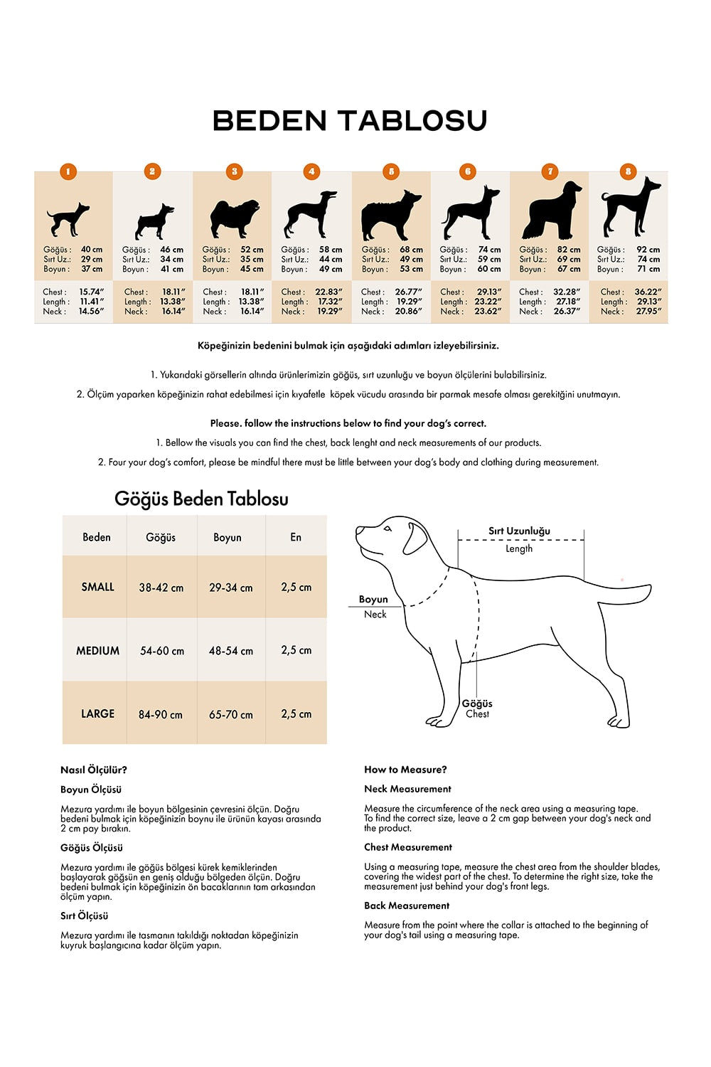 Siena Couture-Fedelta | Boyun Tasması-Köpek-3-roqelvaxirum.shop
