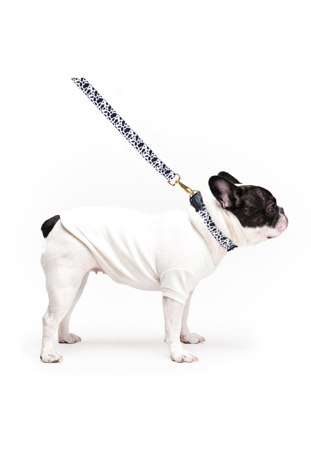 Siena Couture-Fedelta | Gezi Seti-Köpek-3-roqelvaxirum.shop