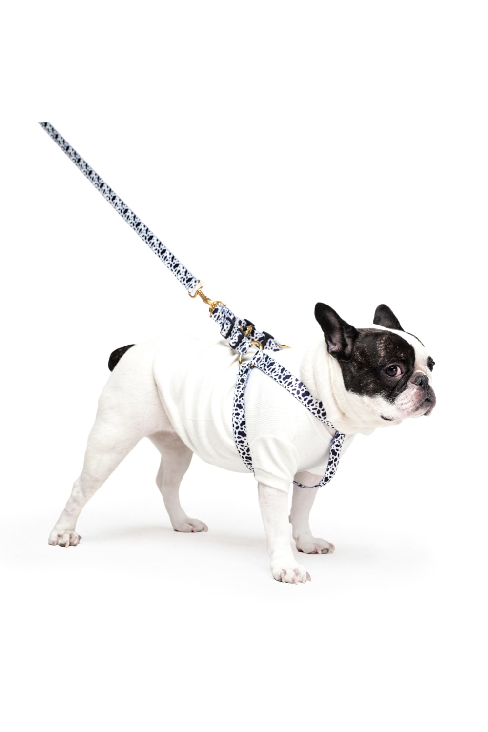 Siena Couture-Fedelta | Göğüs Tasması-Köpek-1-roqelvaxirum.shop