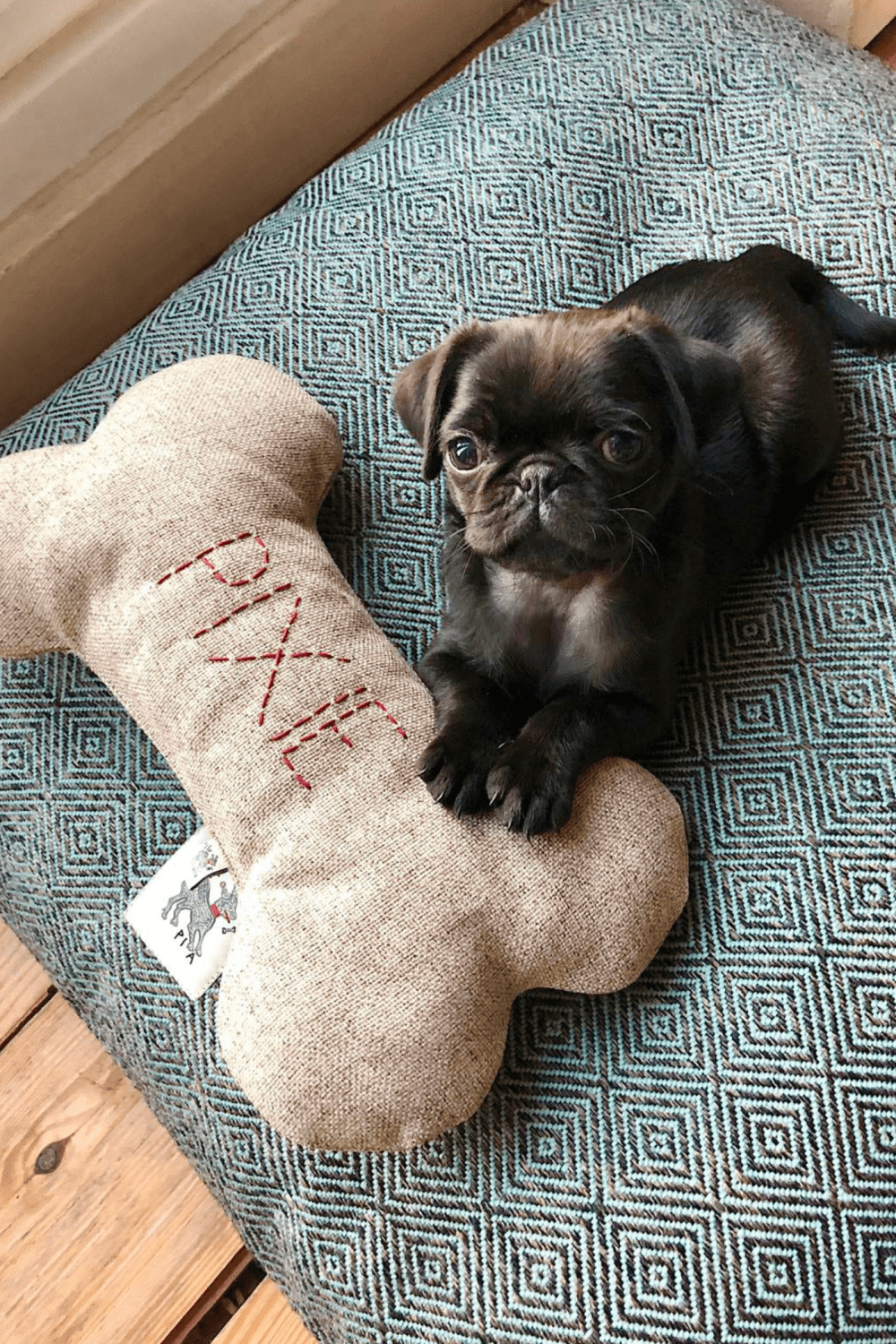 St. Pia-Bone Köpek Yastığı - Milk - Kişiselleştirilebilir-Köpek-6-roqelvaxirum.shop
