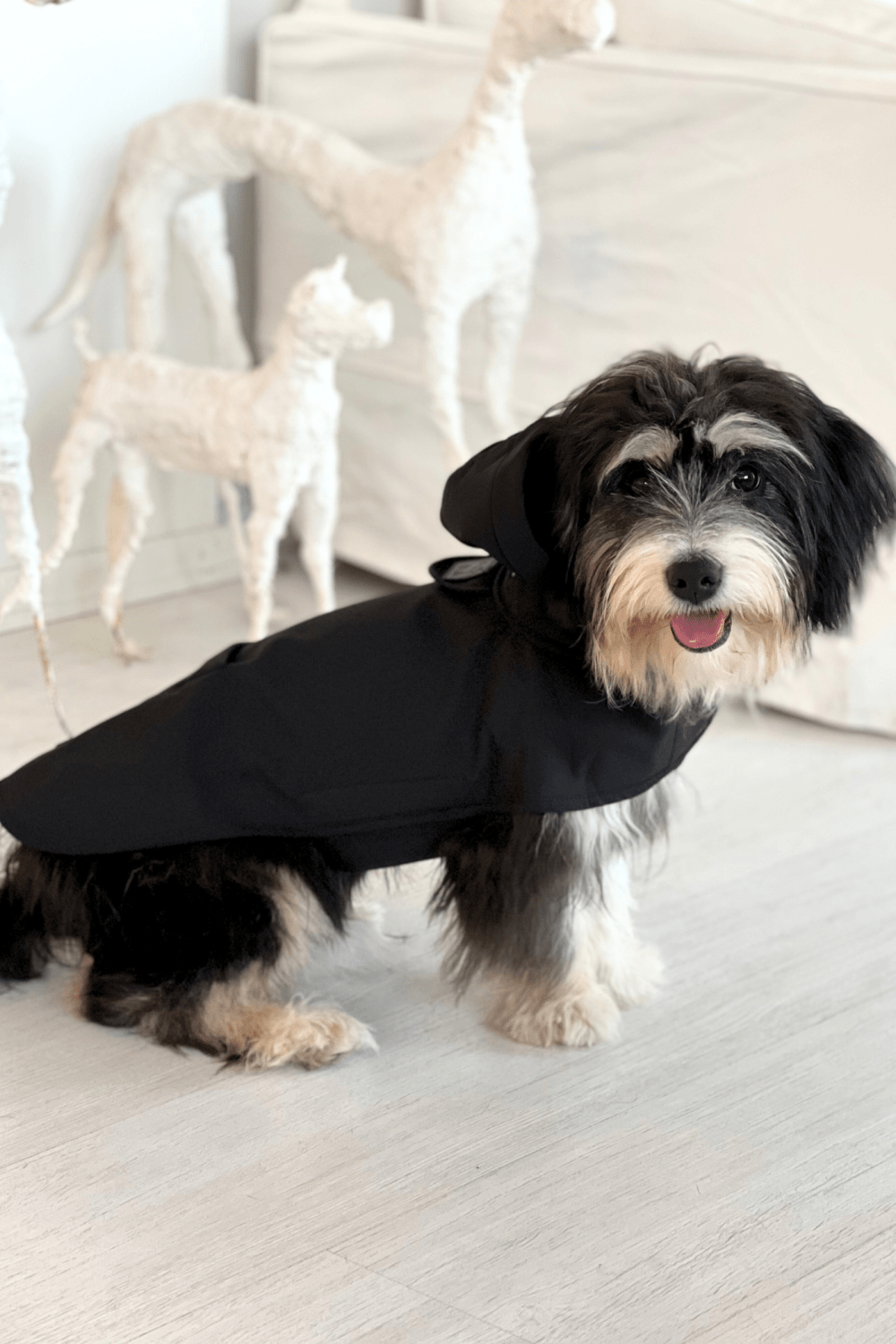 St. Pia-Pluvio Köpek Yağmurluğu-Köpek-2-roqelvaxirum.shop