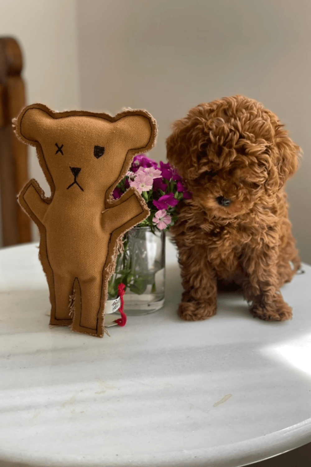 St. Pia-Robear El Yapımı Kedi + Köpek Oyuncağı-Toffee-Köpek-2-roqelvaxirum.shop