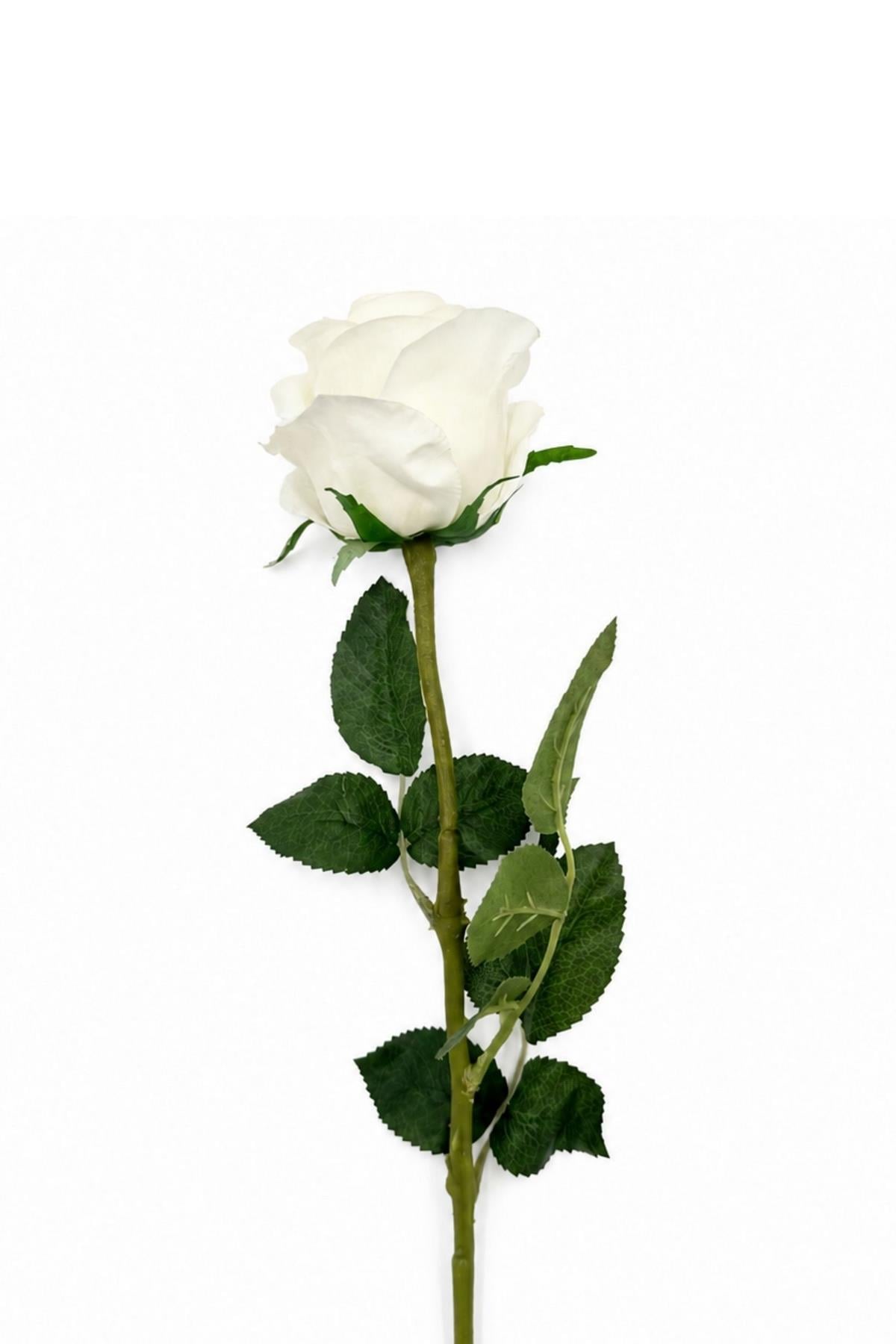 Memonza-Rosella Gerçekçi Islak Dokulu Dekoratif Gül Dalı-Dekoratif Çiçek-2-roqelvaxirum.shop