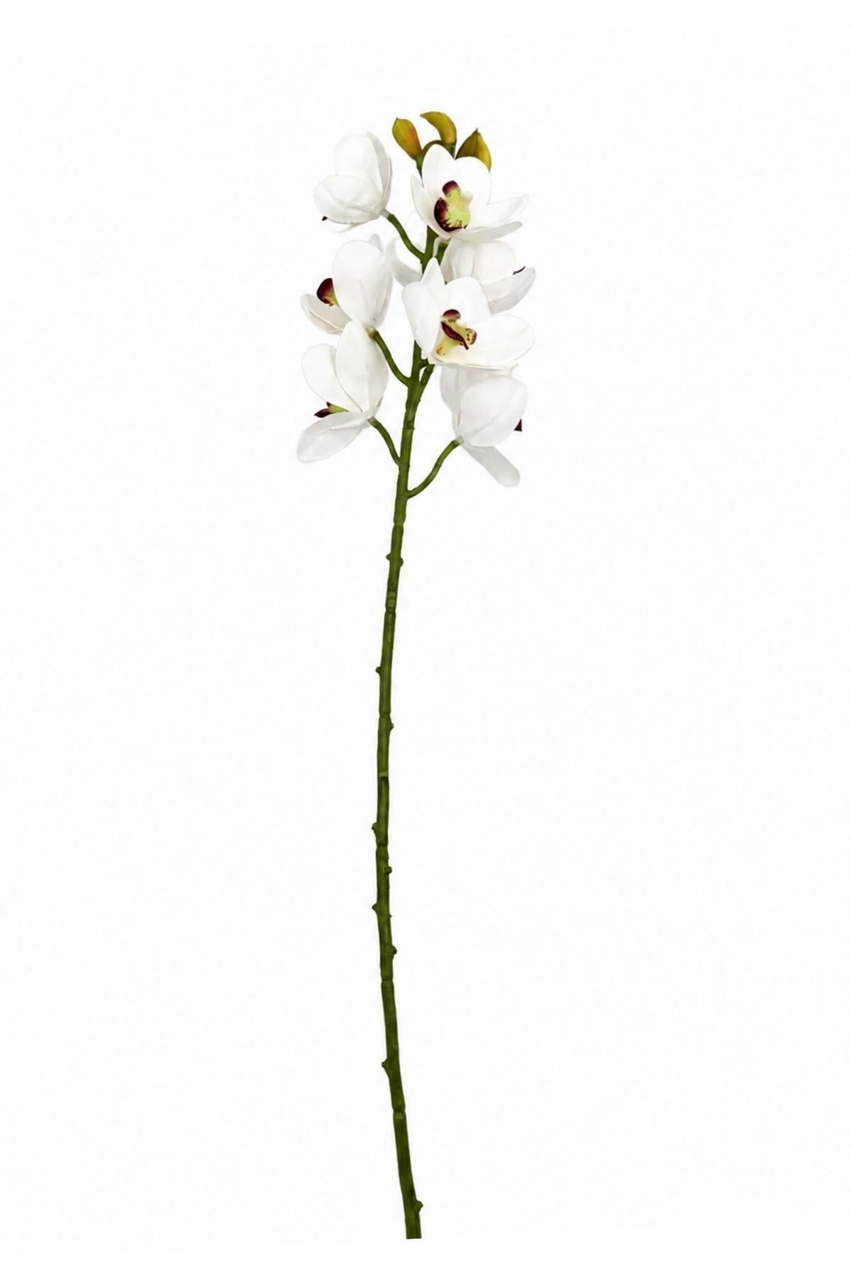 Memonza-Vionelle Gerçekçi Islak Dokulu Dekoratif Orkide Dalı-Dekoratif Çiçek-1-roqelvaxirum.shop