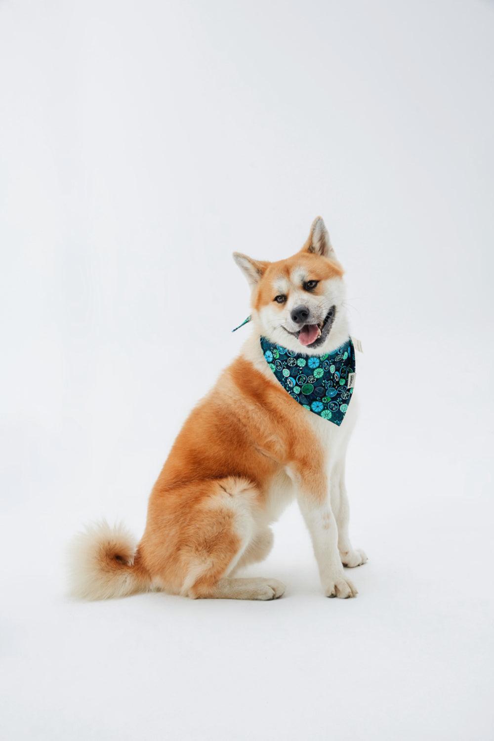 Hypet Fashion-Lime Bandana-Köpek-4-roqelvaxirum.shop