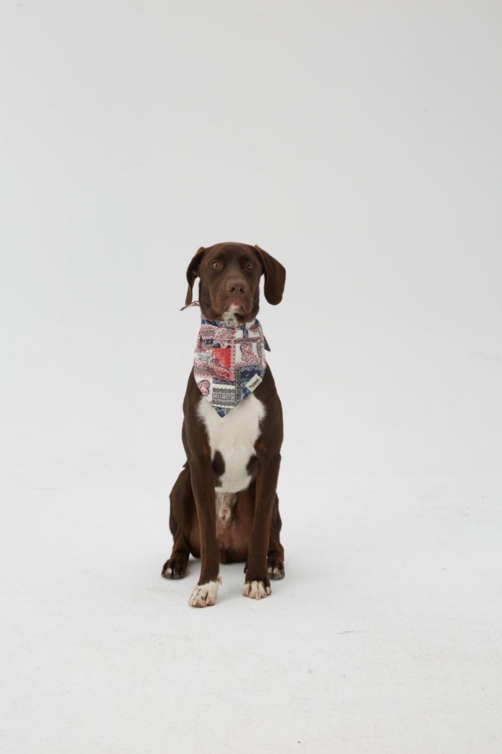 Hypet Fashion-Patchwork Bandana-Köpek-4-roqelvaxirum.shop