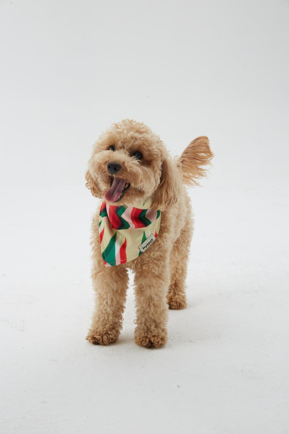 Hypet Fashion-Watermelon Bandana-Köpek-3-roqelvaxirum.shop