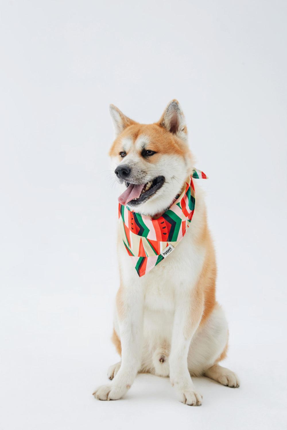 Hypet Fashion-Watermelon Bandana-Köpek-4-roqelvaxirum.shop