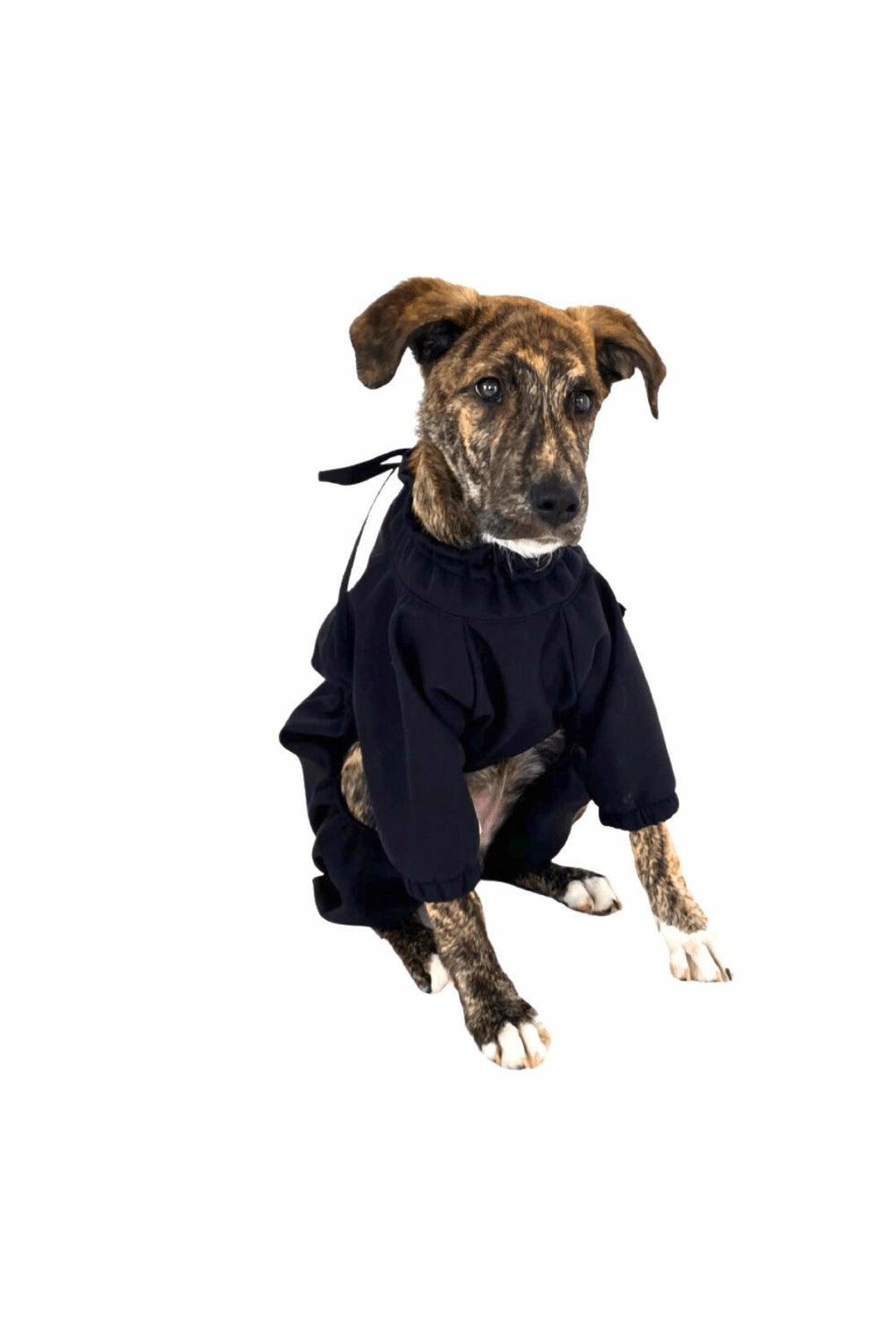 St. Pia-Astro Köpek Tulum Mont - Lacivert-Köpek-4-roqelvaxirum.shop